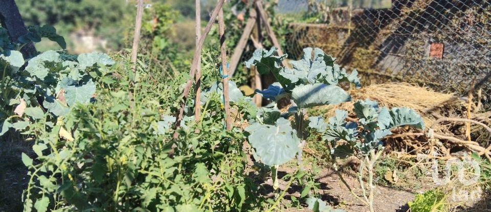 Casa de aldeia T2 em Castanheira de Pêra e Coentral de 98 m²