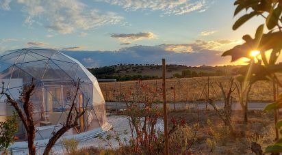 Camping à Estremoz (Santa Maria e Santo André) de 525 m²