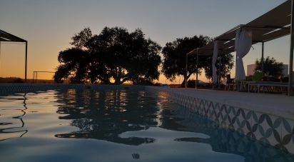 Camping à Estremoz (Santa Maria e Santo André) de 525 m²