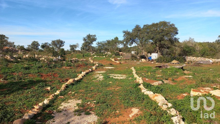 Terreno em Loulé (São Clemente) de 9 500 m²