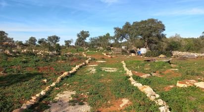 Land in Loulé (São Clemente) of 9,500 m²