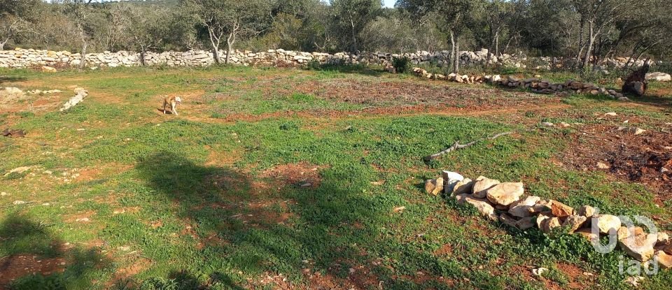 Terreno em Loulé (São Clemente) de 9 500 m²