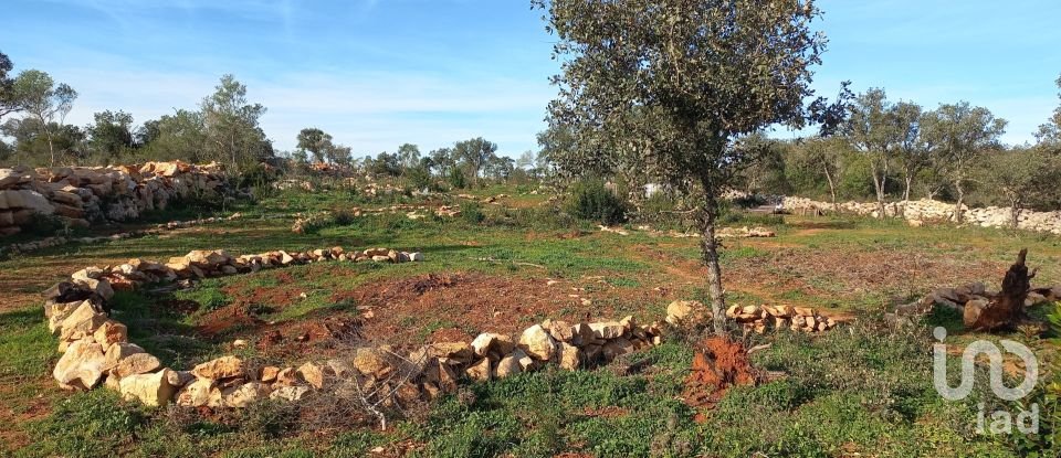 Terreno em Loulé (São Clemente) de 9 500 m²