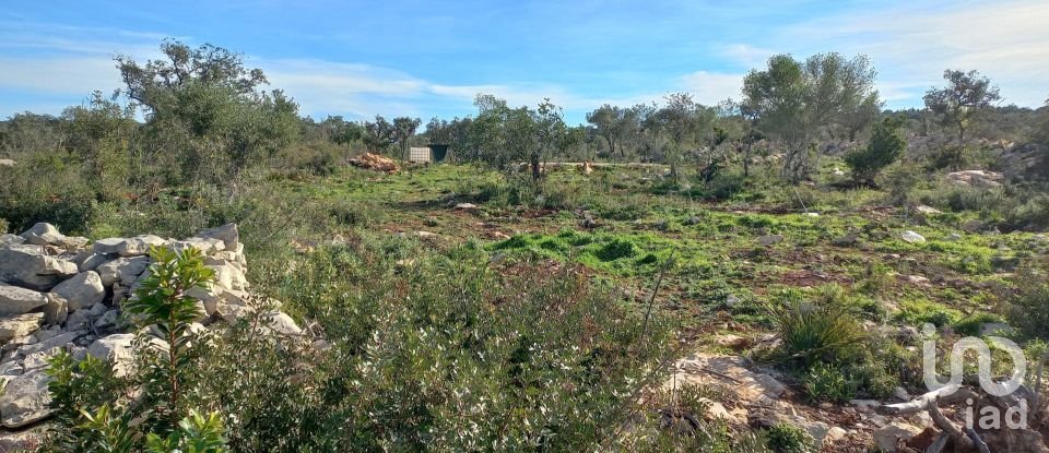 Terreno em Loulé (São Clemente) de 9 500 m²