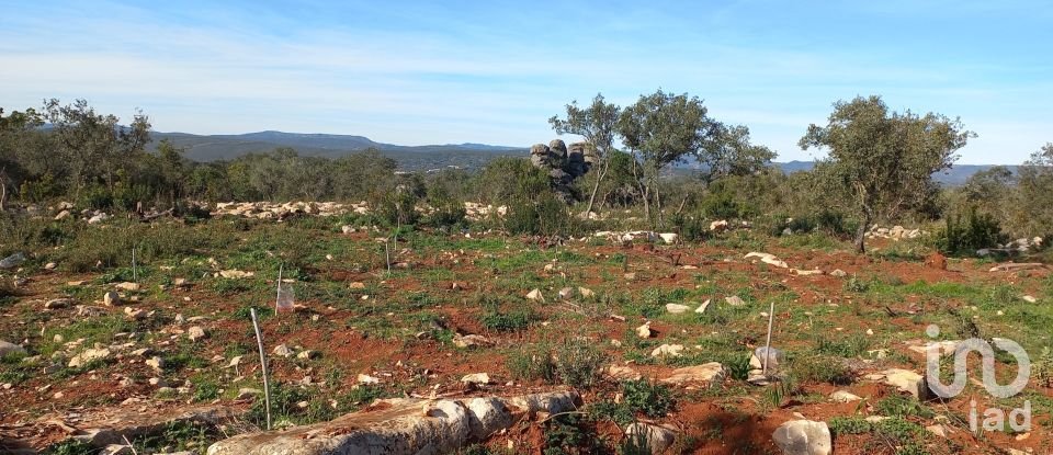 Terreno em Loulé (São Clemente) de 9 500 m²