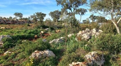 Terrain à Loulé (São Clemente) de 9 500 m²