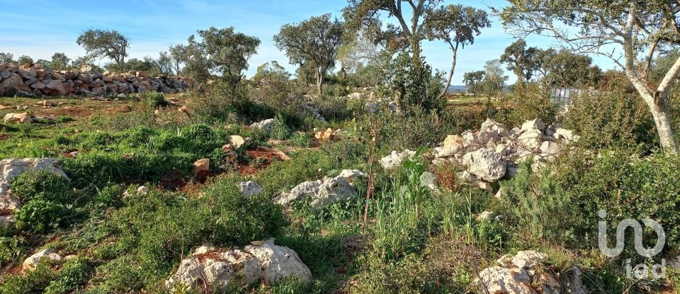 Terreno em Loulé (São Clemente) de 9 500 m²