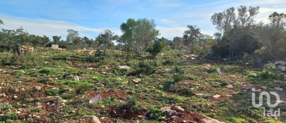 Terreno em Loulé (São Clemente) de 9 500 m²