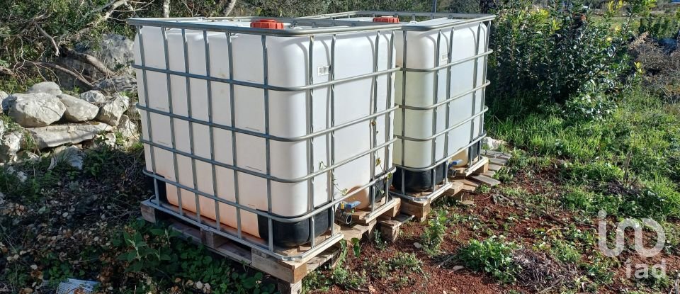 Terreno em Loulé (São Clemente) de 9 500 m²