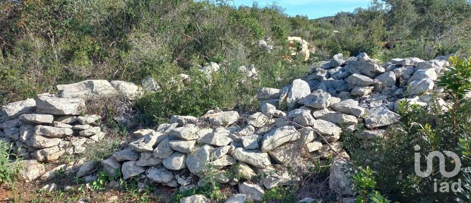 Terreno em Loulé (São Clemente) de 9 500 m²