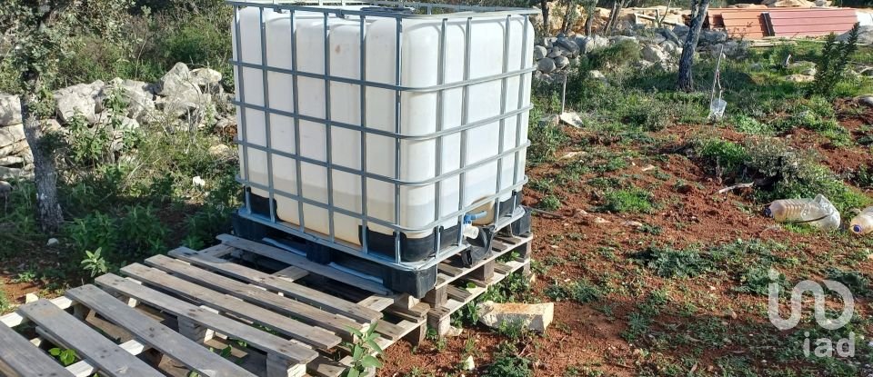 Terreno em Loulé (São Clemente) de 9 500 m²