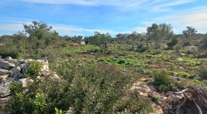Terrain à Loulé (São Clemente) de 9 500 m²