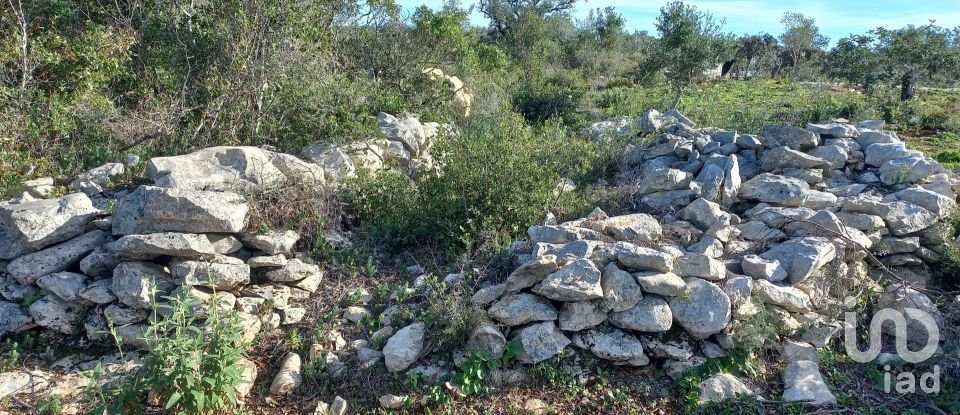Terreno em Loulé (São Clemente) de 9 500 m²