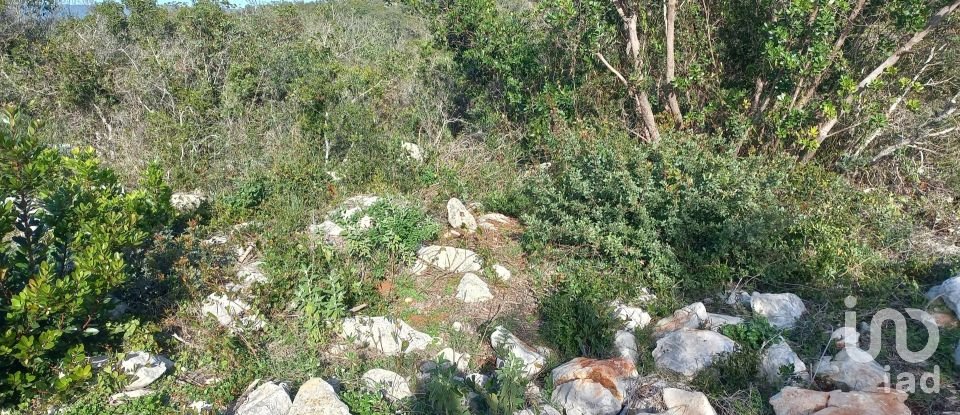 Terreno em Loulé (São Clemente) de 9 500 m²