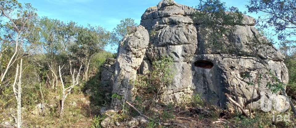 Terreno em Loulé (São Clemente) de 9 500 m²
