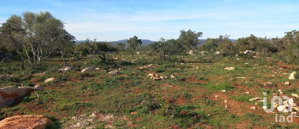 Terreno em Loulé (São Clemente) de 9 500 m²