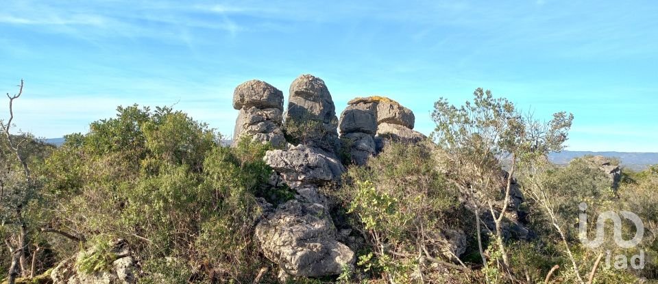 Terreno em Loulé (São Clemente) de 9 500 m²