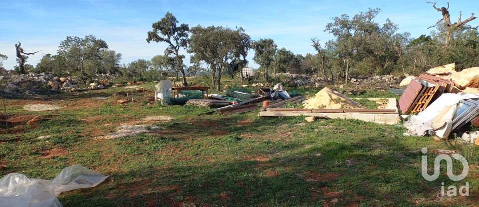 Terreno em Loulé (São Clemente) de 9 500 m²