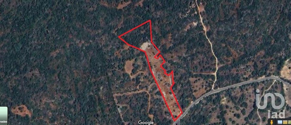 Terreno em Loulé (São Clemente) de 9 500 m²