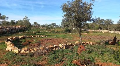 Terrain à Loulé (São Clemente) de 9 500 m²