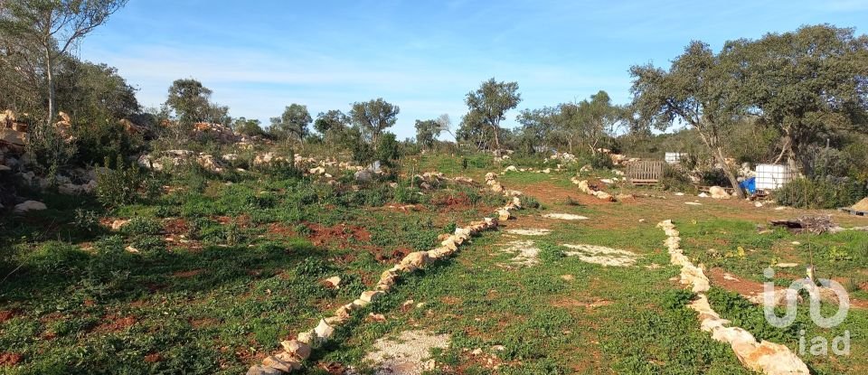 Terreno em Loulé (São Clemente) de 9 500 m²