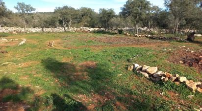 Terrain à Loulé (São Clemente) de 9 500 m²