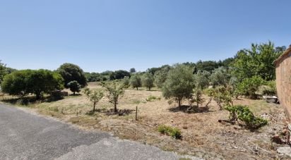 Terrain à bâtir à Alcoentre de 3 695 m²
