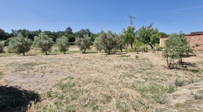 Terrain à bâtir à Alcoentre de 3 695 m²