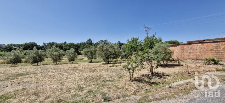Terreno urbano em Alcoentre de 3 695 m²