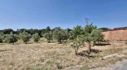 Terrain à bâtir à Alcoentre de 3 695 m²