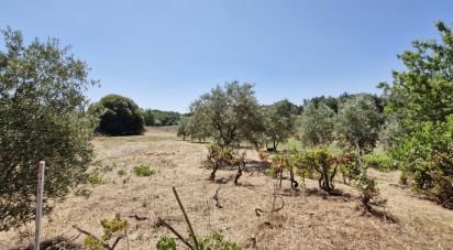 Terrain à bâtir à Alcoentre de 3 695 m²