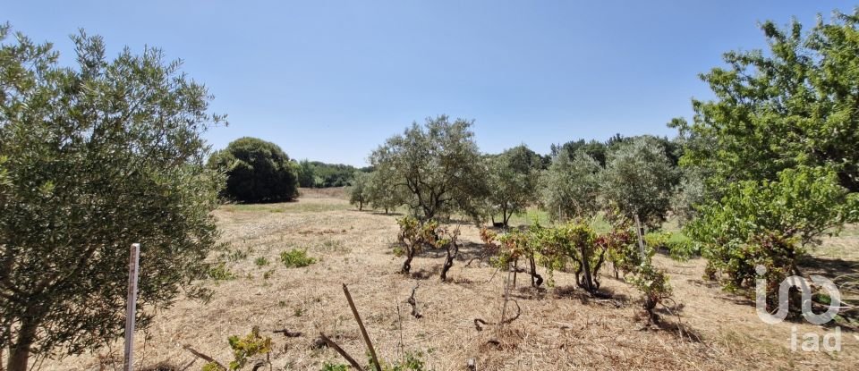 Terreno urbano em Alcoentre de 3 695 m²