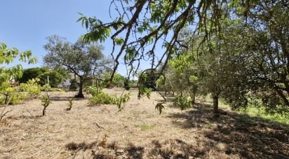 Terrain à bâtir à Alcoentre de 3 695 m²