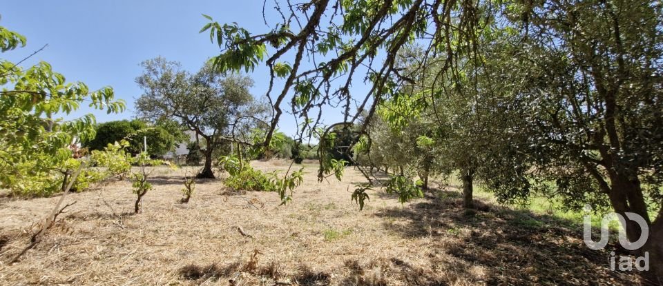Terreno urbano em Alcoentre de 3 695 m²