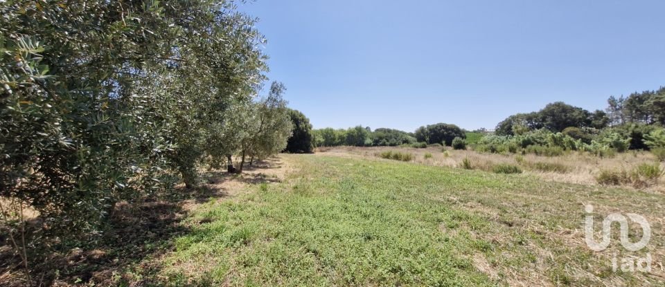 Terreno urbano em Alcoentre de 3 695 m²