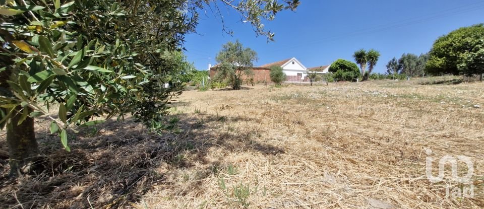 Terreno urbano em Alcoentre de 3 695 m²