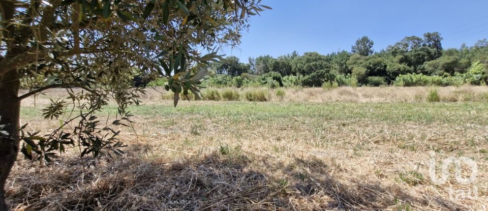 Terreno urbano em Alcoentre de 3 695 m²