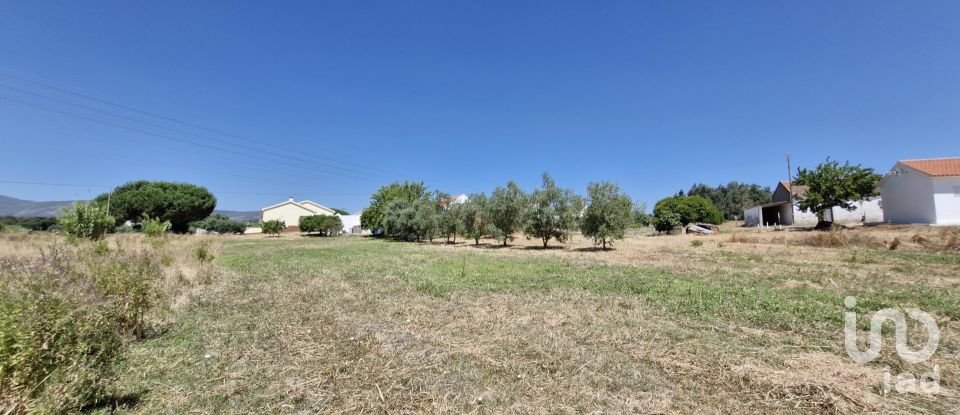 Terreno urbano em Alcoentre de 3 695 m²