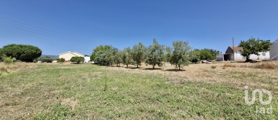 Terreno urbano em Alcoentre de 3 695 m²