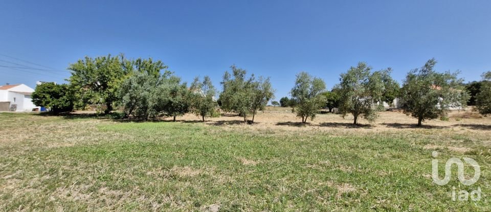 Terreno urbano em Alcoentre de 3 695 m²