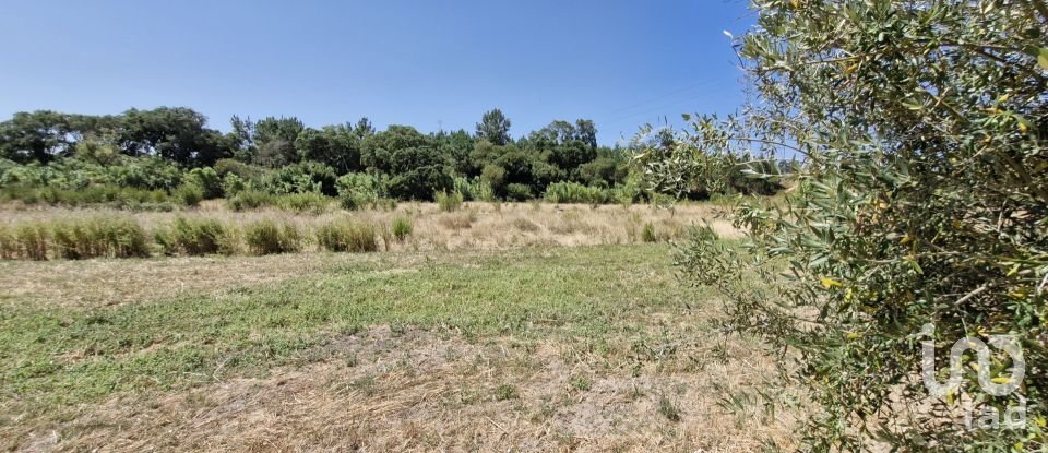 Terreno urbano em Alcoentre de 3 695 m²