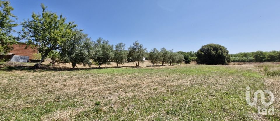 Terreno urbano em Alcoentre de 3 695 m²