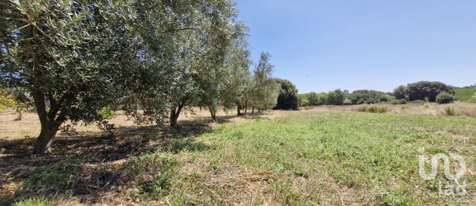 Terreno urbano em Alcoentre de 3 695 m²