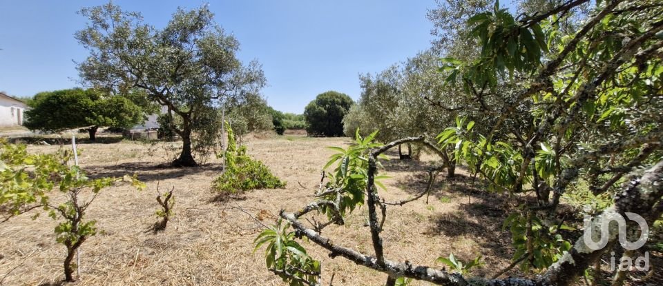 Terreno urbano em Alcoentre de 3 695 m²