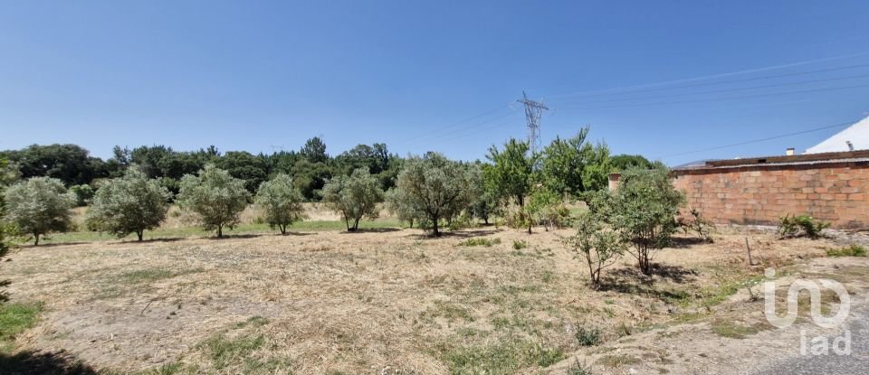 Terreno urbano em Alcoentre de 3 695 m²