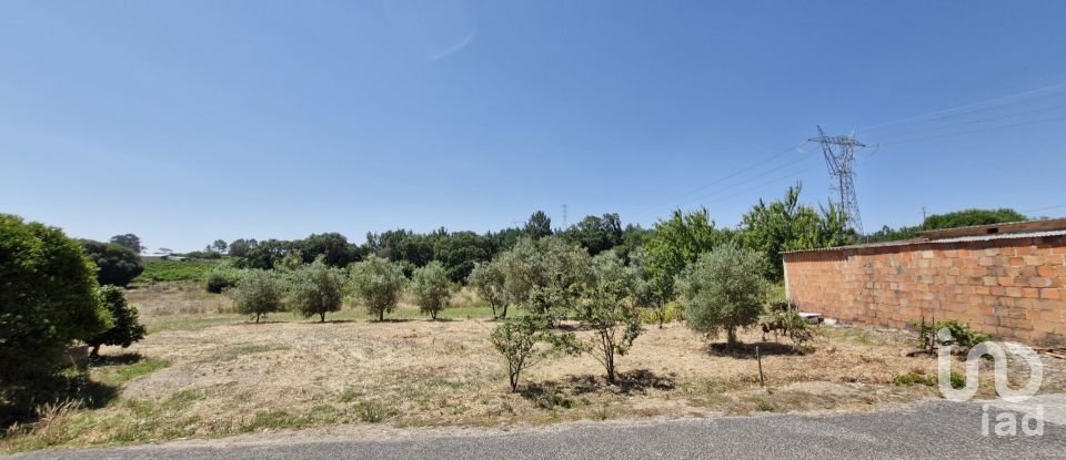 Terreno urbano em Alcoentre de 3 695 m²