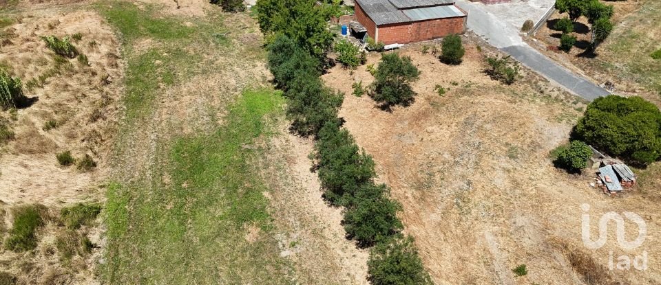 Terreno urbano em Alcoentre de 3 695 m²