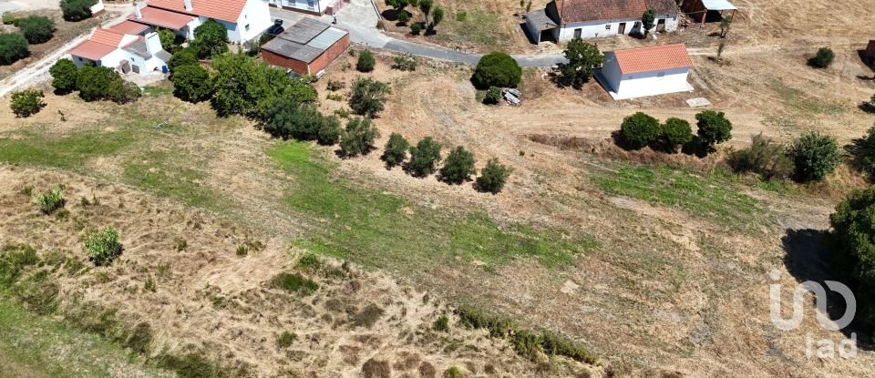 Terreno urbano em Alcoentre de 3 695 m²