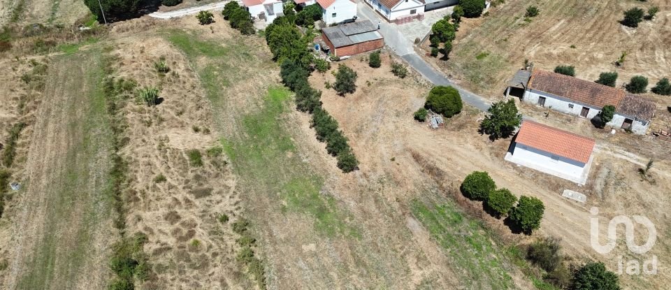Terreno urbano em Alcoentre de 3 695 m²
