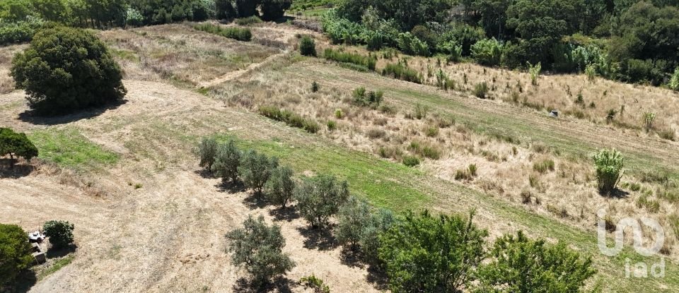 Terreno urbano em Alcoentre de 3 695 m²
